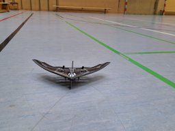 hallenfliegen26012025 2